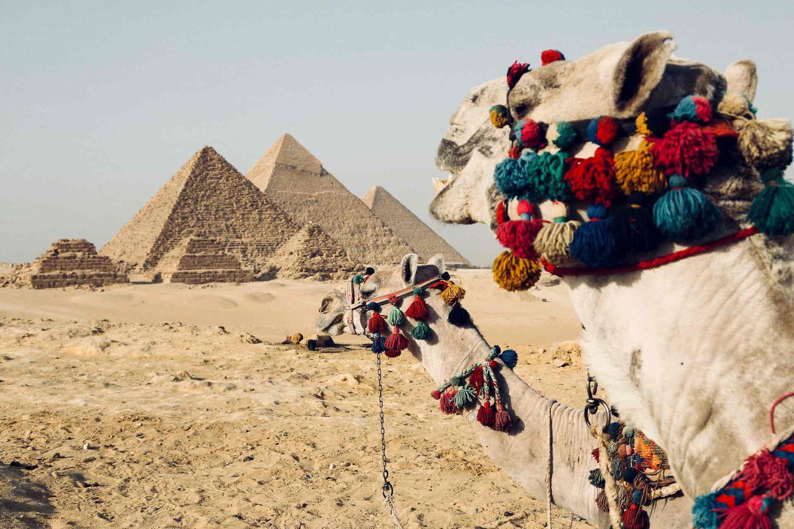 EGIPTO – 8 DÍAS / 7 NOCHES Desde 1.652 USD por persona en habitación doble